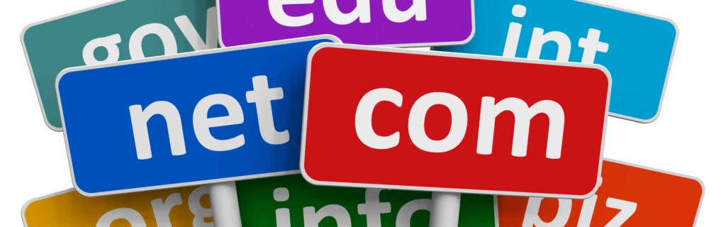 اهم النصائح قبل اختيار اسم النطاق الخاص بموقعك 1 domain domain header