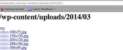 website file directory example
