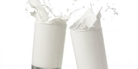 تصميم موقع لمصنع حليب 1 شرب الحليب